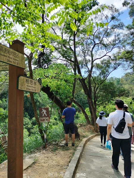 【高雄大社/岡山】郊山連峰稍有挑戰。 大社觀音山步道(立山x高崎山x長野山)2559925