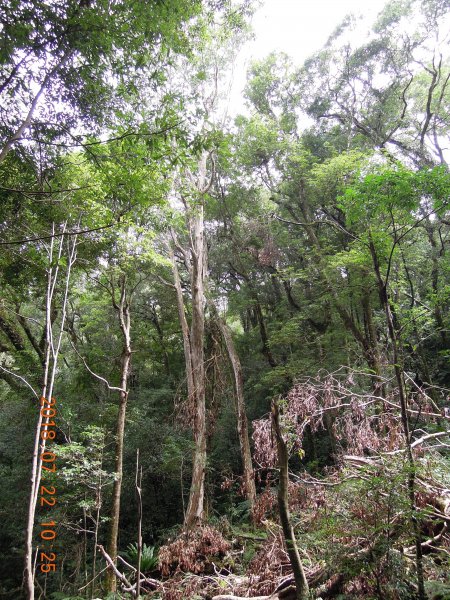 20180722_內鳥嘴山851778