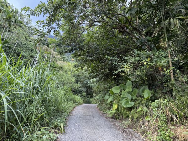 2025_1018 花蓮縣鳳林鎮鳳凰瀑布2921370