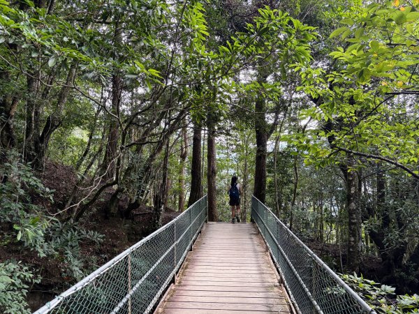 司馬庫斯巨木群登山步道2862140