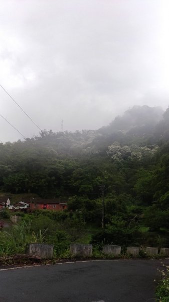 大艽芎古道-溪洲山-頭寮山577956