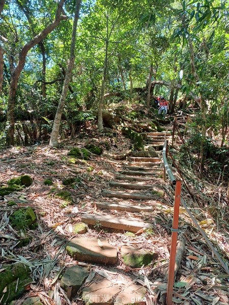 【台中北屯】搭公車趣爬山。 #42 小百岳南觀音山步道2601636