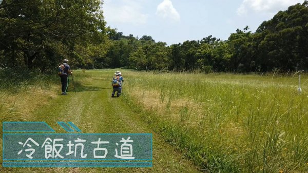 [新北石碇] 冷飯坑古道（冷飯坑山-楓子林山-烏月山）