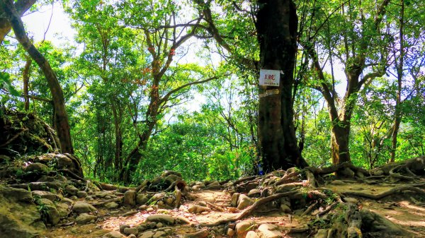 筆架山越嶺2918229