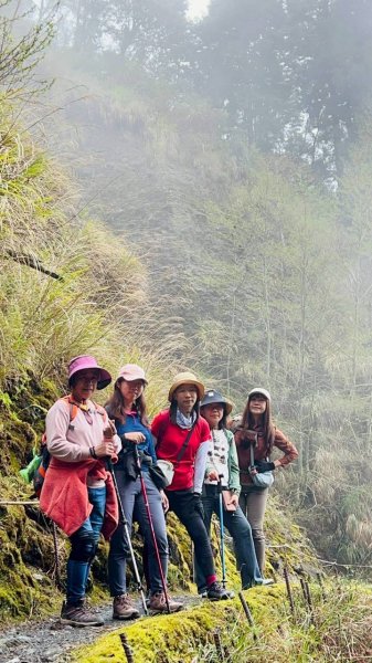 🌈3/28（六）觀霧檜山巨山步道×瀑布步道✨FB：熊熊趴爬走🌈3025251