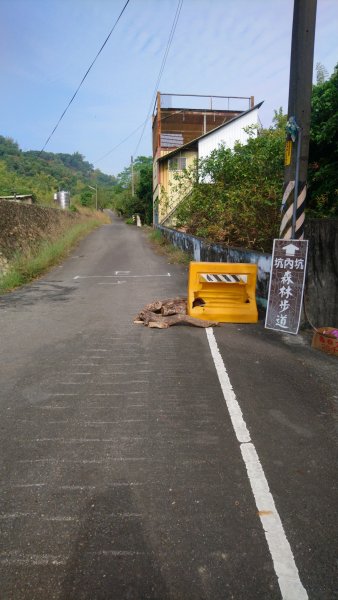 坑內坑森林步道1203932