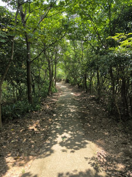 20250809樹迴縱走2855044