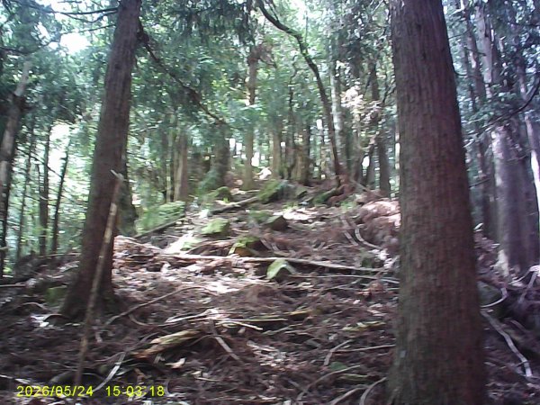 台21號公路的同富(埔沙)山3061838