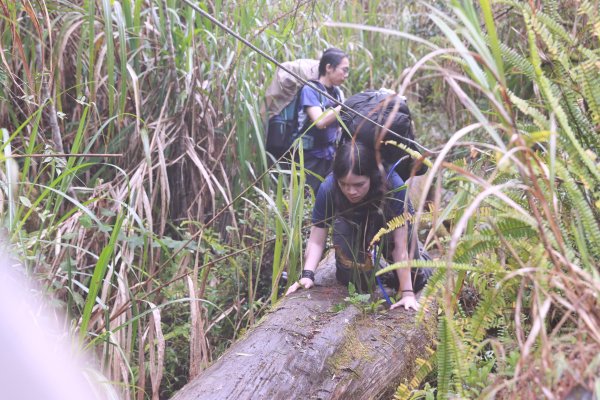 豐山眠月：石夢谷連走水漾千人洞2757760