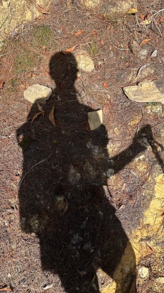 馬武霸下武陵2962331