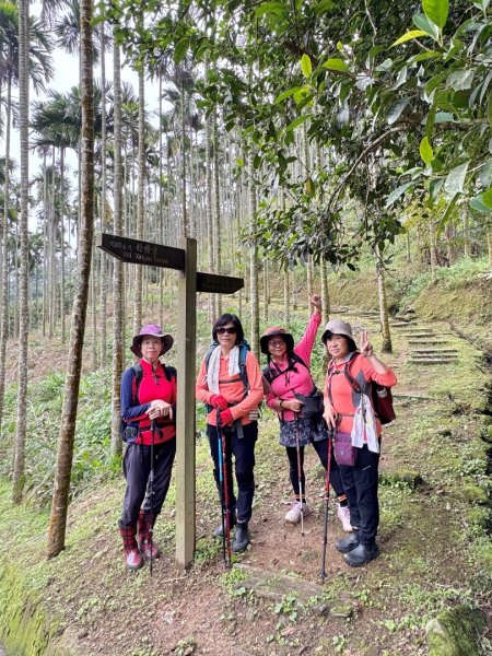 紫微聖母環山步道走六寮崙山與西南峰2989123