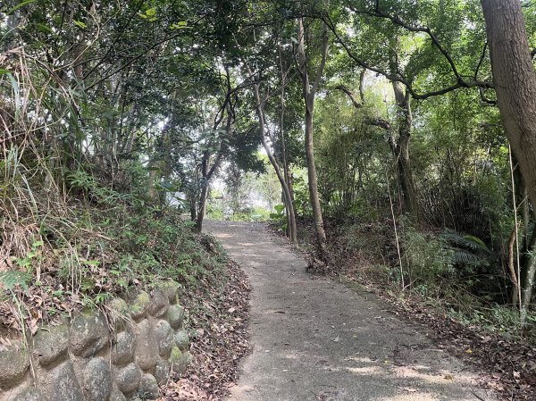 [皮皮獅Hike客任務-10/10] 2024_0831 十二寮古道2586605