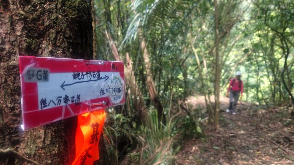 清幽的古道與舊日採礦遺址巡禮瑞芳蛇形子古道登烏塗窟山與獅子嘴奇岩O形2756645