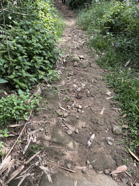 20251018台南 崁馬鞍部啟登崁頭山2920730