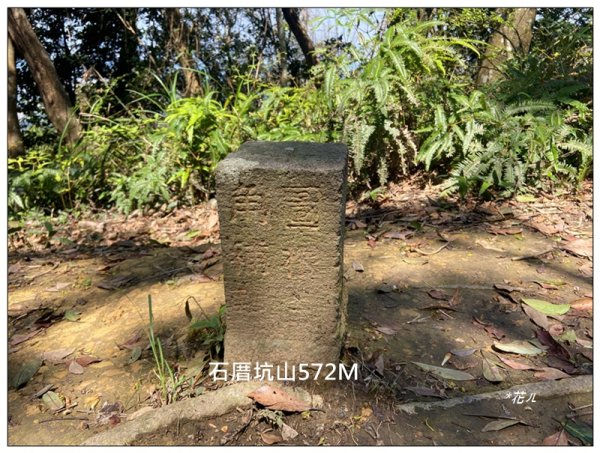 草嶺山、白石山、頭寮山 六連峰 O型路線2798576