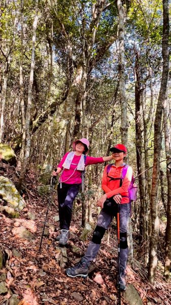 🌈3/7（六）谷關七雄波津加~大雪山進谷關出✨FB：熊熊趴爬走🌈3011494