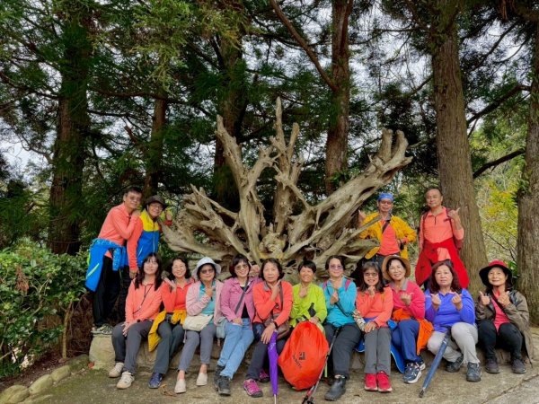 清泉 雪霸農場 野馬瞰山2925881