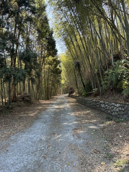 20260322[公車]石壁山&嘉南雲峰3019921