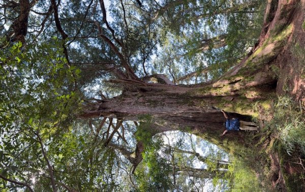 秀林塔次基里溪古關原3027638