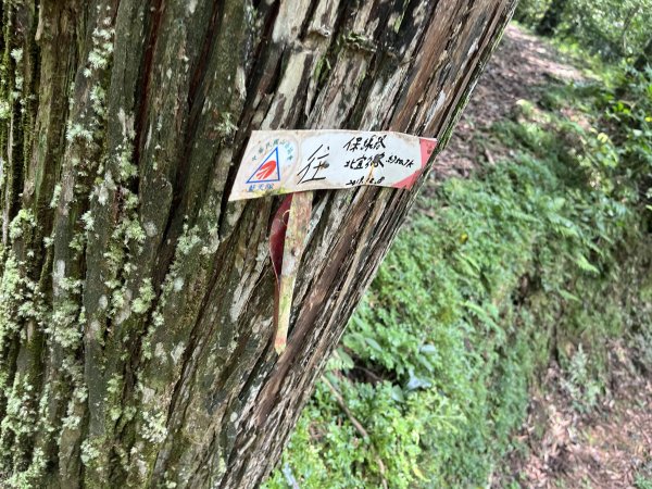 [淡蘭古道] 2025_0802 南路第四段2850950