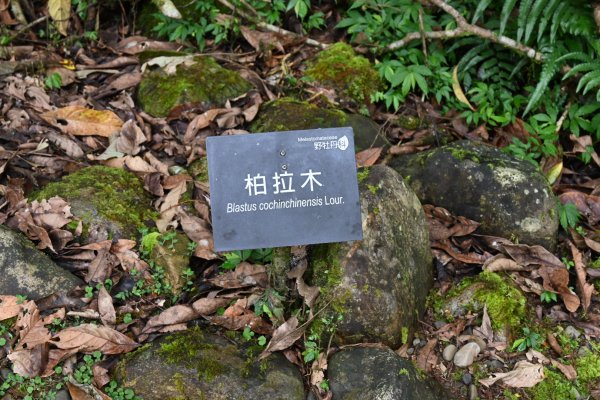 2025_0712 福山植物園2836238