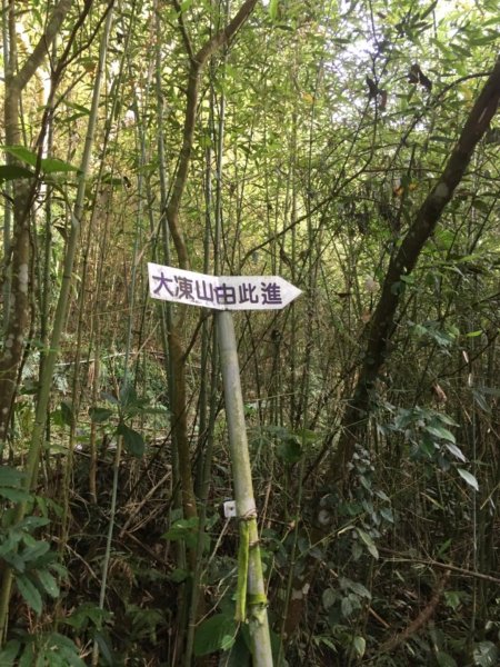 20181026-大凍山初登444941