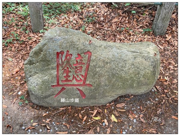 樟普寮山、藤山步道、微熱山丘3107227