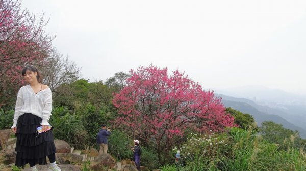 大尖山,四分尾山,勤進路1630934