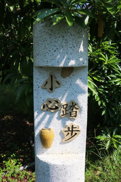 南投魚池~花茶香田園好風光~澀水田頂步道1026754