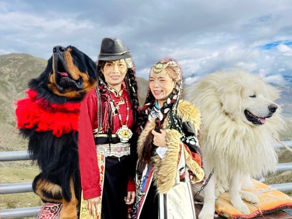 西藏♥️可愛動物🐎人物寫真/拉薩旅拍/美食2902874