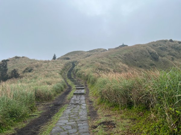台北大縱走第三段風櫃嘴到小油坑2754496