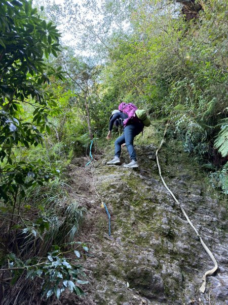 2025.11.30 西巒大山2952299