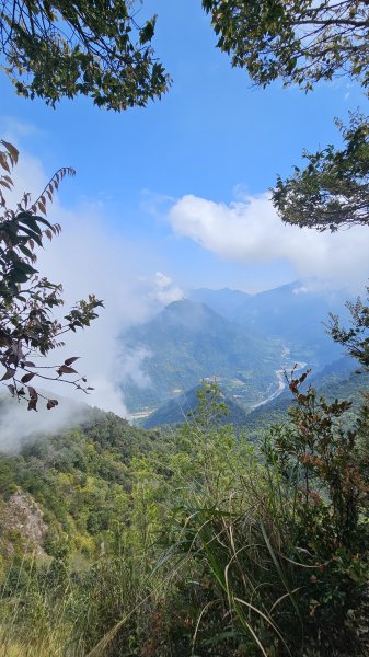 【美美兔走山趣】谷關抓雄-老六白毛2749976