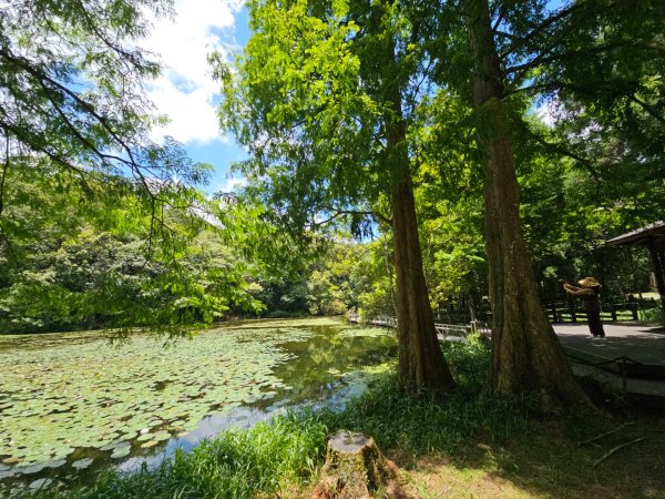 福山植物園 - (宜蘭)臺灣百大必訪步道2557617