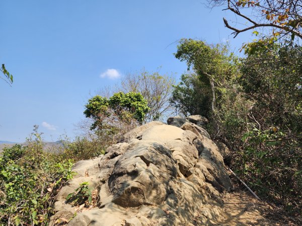 小百岳No.72⛰旗尾山3025200