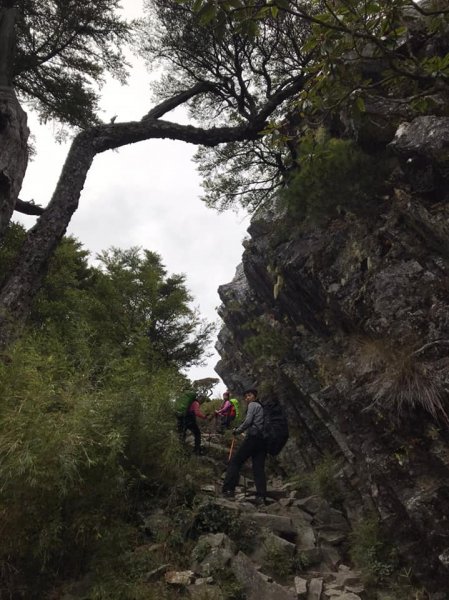 武陵四秀成兩袖(一秀加一宿)1142475