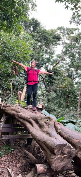 馬那邦山（珠湖登山口）2933969