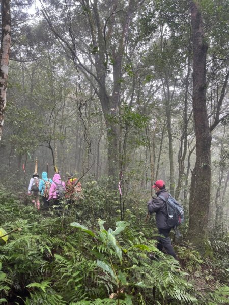 烏來大桶山.大桶山東峰.四崁水山2450707