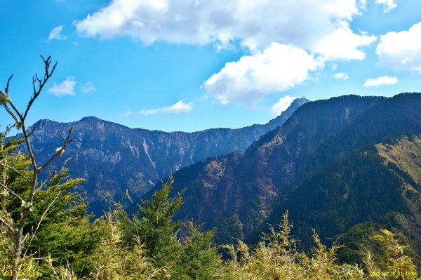 玉山前峰連走麟趾山1294493