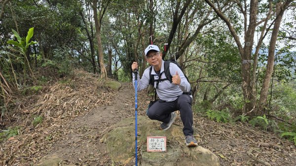 2025樂活夜櫻季搶先看，內湖樂活公園夜櫻季明天熱鬧登場，沿內溝溪3公里近距離欣賞寒櫻、昭和櫻、吉野2695705