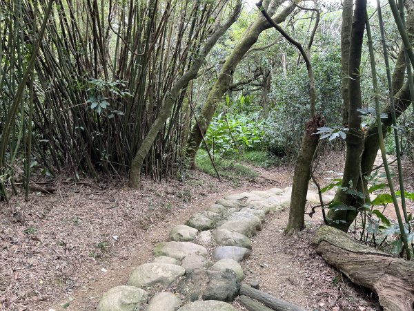 [微笑山線_第一段] 2025_0720 大棟山系_大棟山2843606