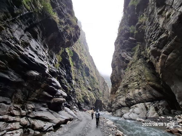 2025.02.08 限時秘境?菜市場? 北港溪峽谷步道2709055