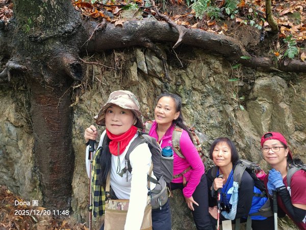 20251220上谷關山縱走四連峰2974339