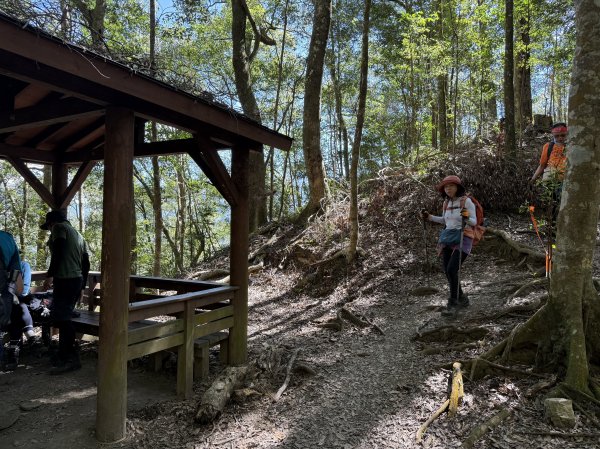 屋東縱走 202503012728988