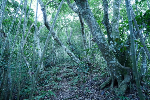 新竹 五峰 清泉山、民都有山2633688