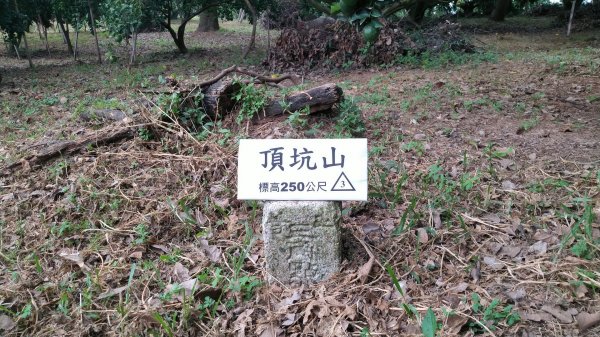 嘉義 番路 頂坑山1487592