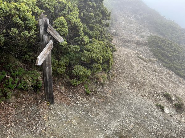 聖稜線I 2023_0524(D2-5) 凱蘭特崑山北峰2166246