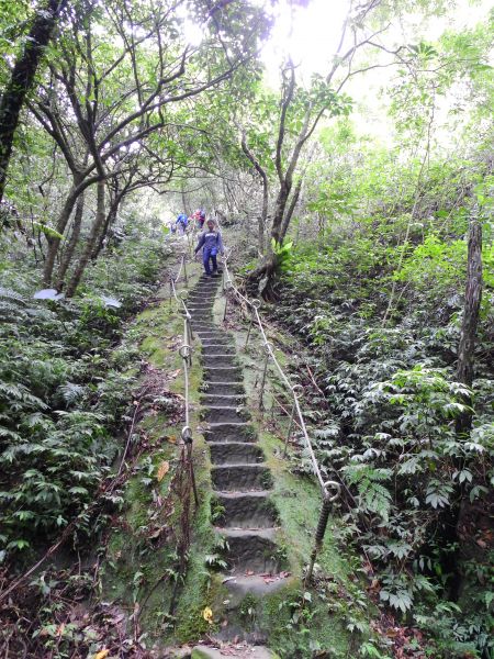 孝子山步道連走東勢格越嶺古道196932