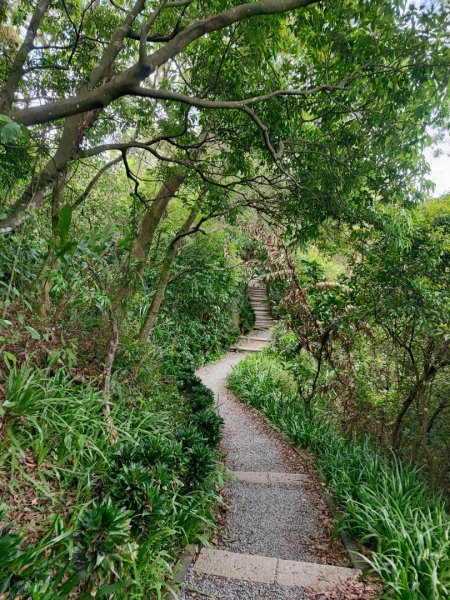 南勢角山-小百岳#16-新北市中和區2246895