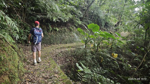 20251109 士林站到大湖站(福山宮_腰繞_燕溪古道_翠山步道_龍船岩_大溝溪)2932357